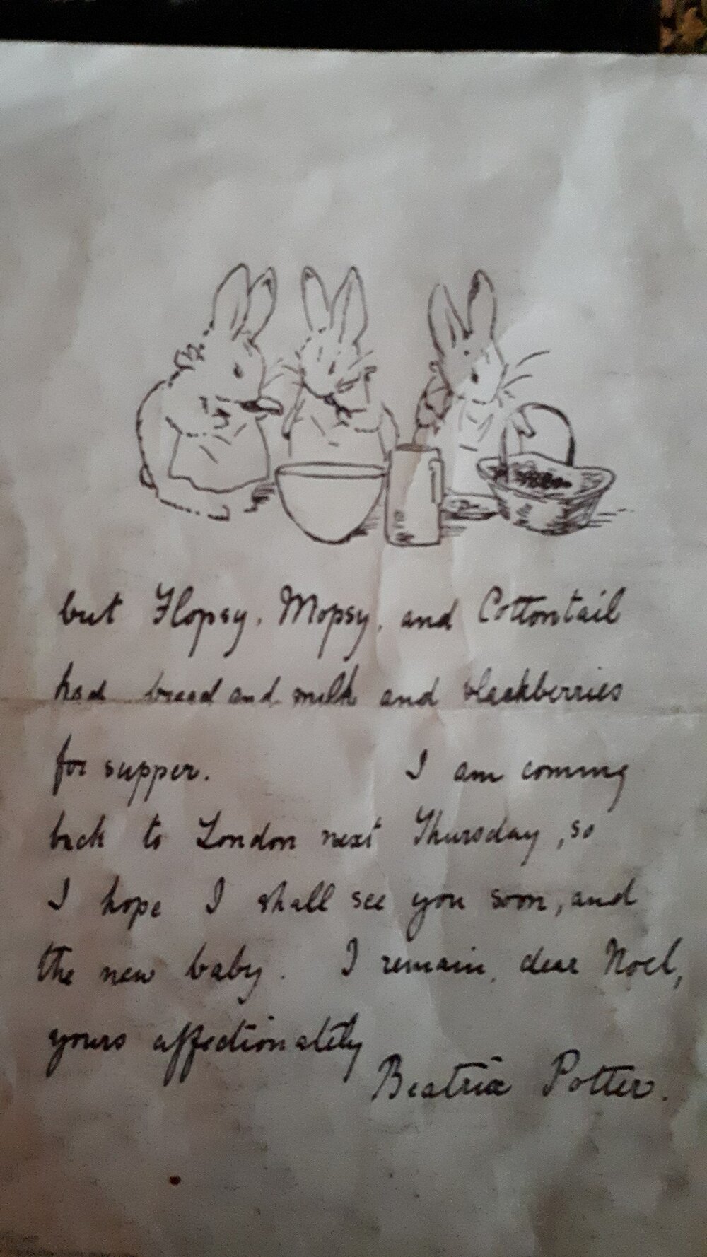 Beatrix Potter, scrisoarea cu prima poveste despre Peter Iepurașul