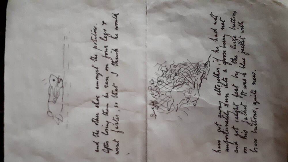Beatrix Potter, scrisoarea cu prima poveste despre Peter Iepurașul