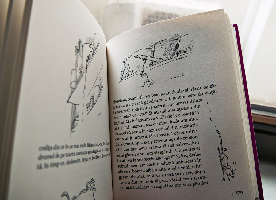 Vrăjitoarele, Roald Dahl, Editura Arthur