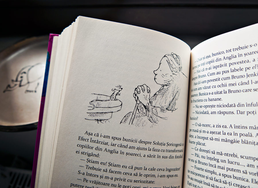 Vrăjitoarele, Roald Dahl, Editura Arthur