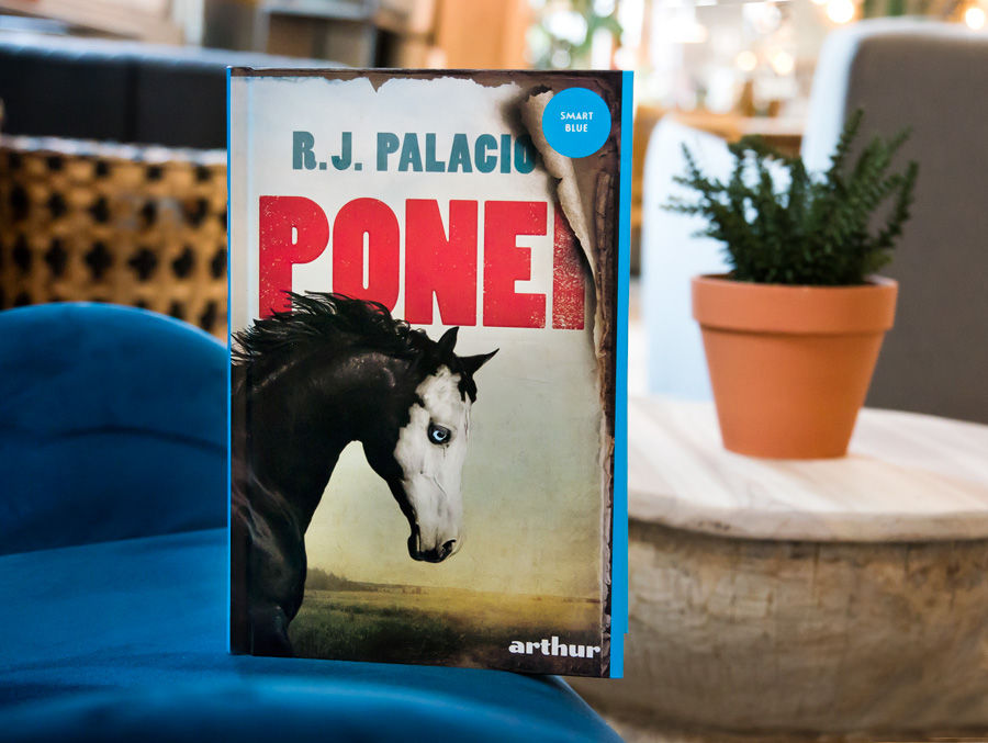 Ponei, R.J. Palacio, Editura Arthur