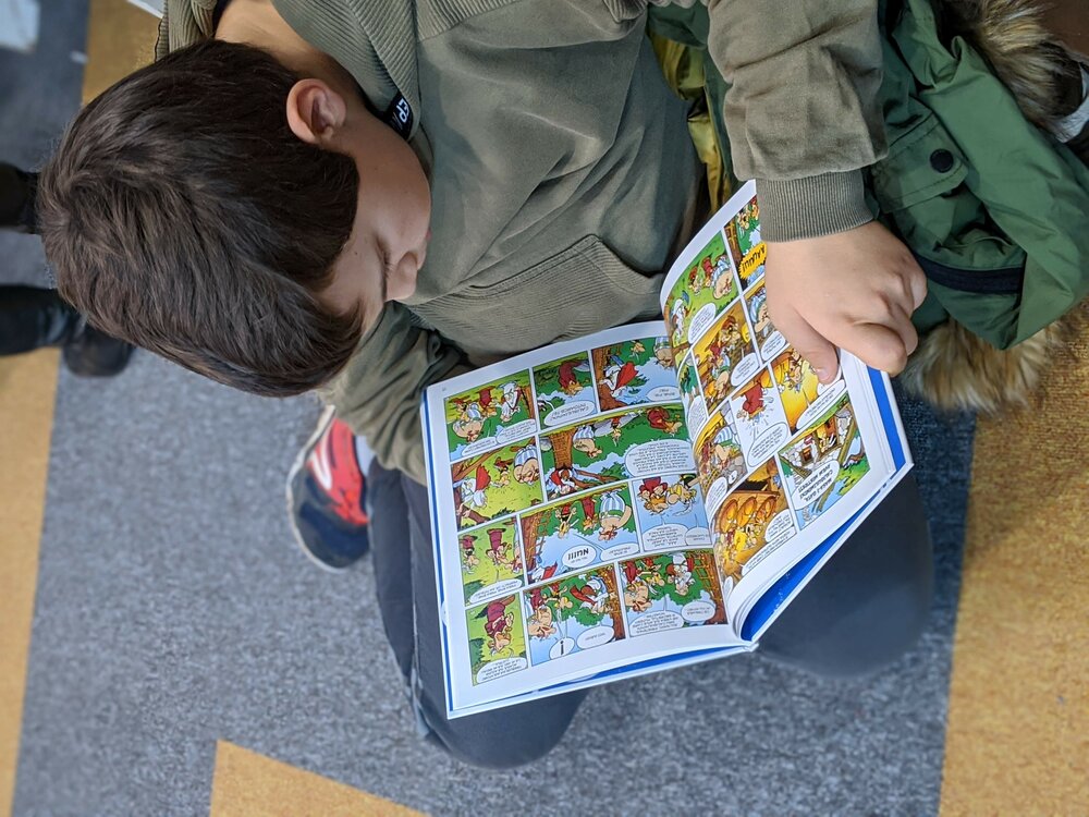 René Goscinny, Asterix, viteazul gal, Editura Grafic, colecția miniGrafic