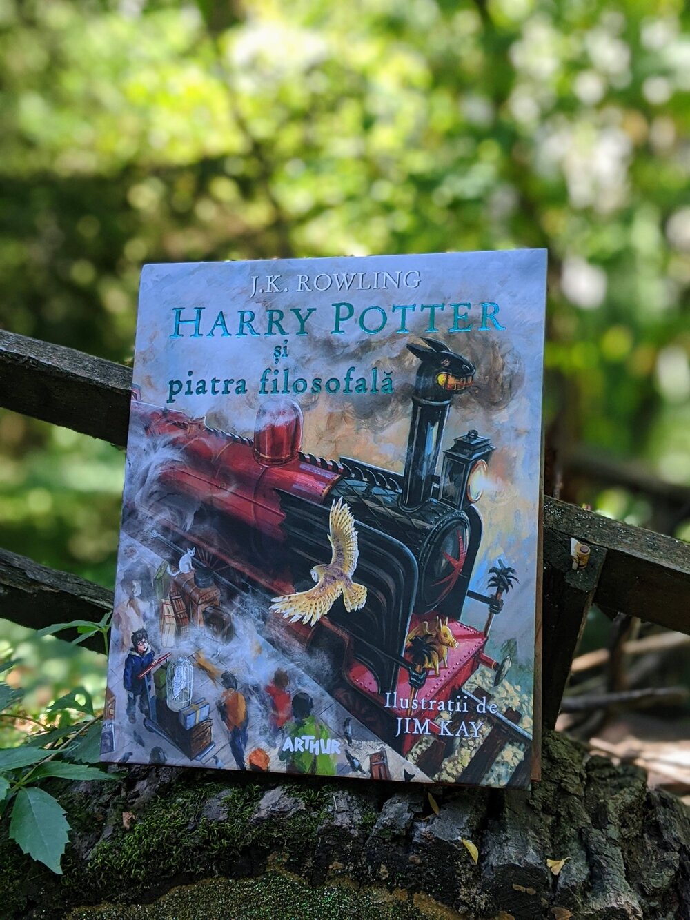 Harry Potter, J. K. Rowling