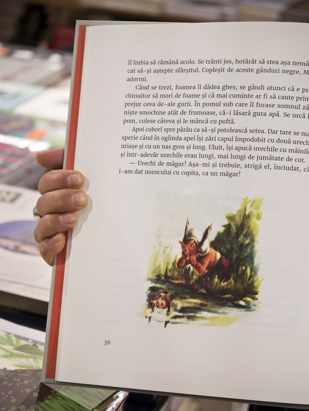 Pagini de interior din cartea Muc cel Mic
