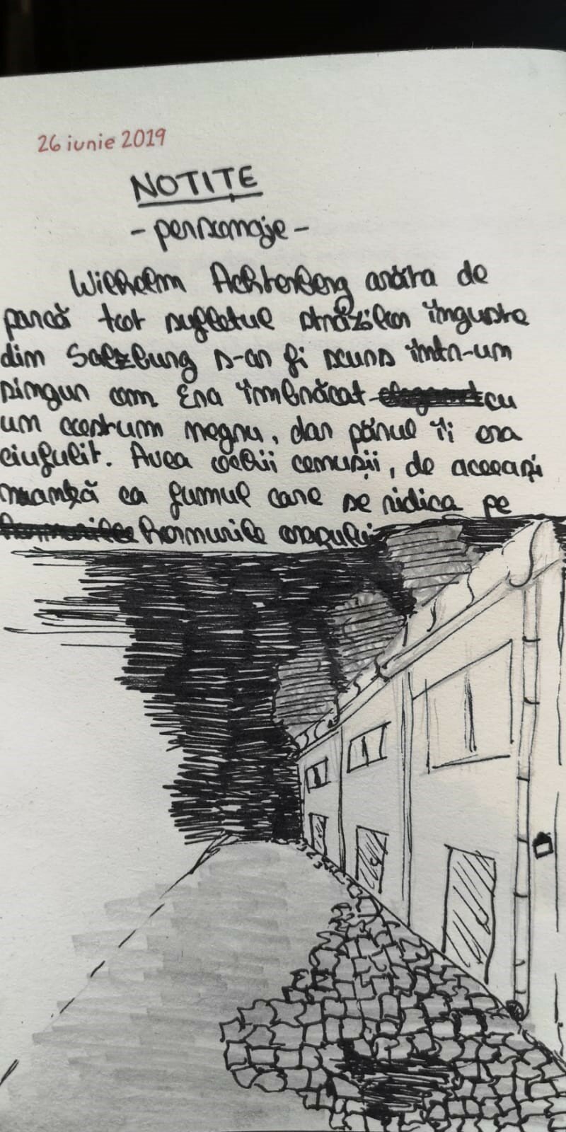Beneficii jurnal-Jurnal de vacanta-Maria